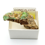 Da collezione Conicalcite